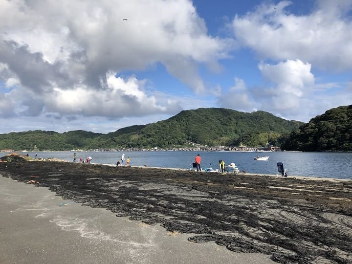 網干場エリア｜伊根網干場（京都・伊根）の釣り場情報｜丹後エリア