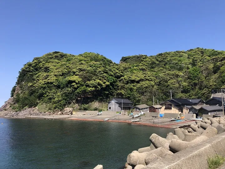 徐々に南に歩きます。